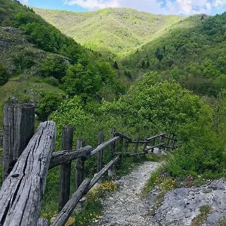 Pisolo E I Persi Pien